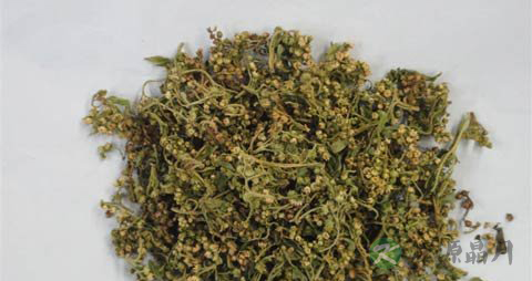 赶黄草的功效与作用_赶黄草的药用价值 赶黄草的功效与作用_赶黄草的药用价值
