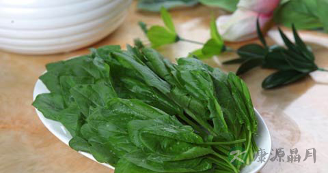 菠菜的功效与作用_菠菜的药用价值 菠菜的功效与作用_菠菜的药用价值