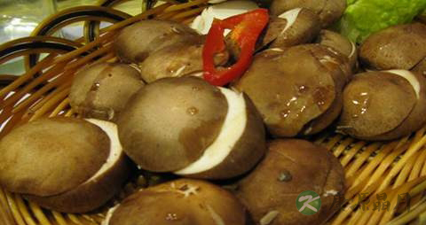 冬菇的功效与作用 冬菇的功效与作用