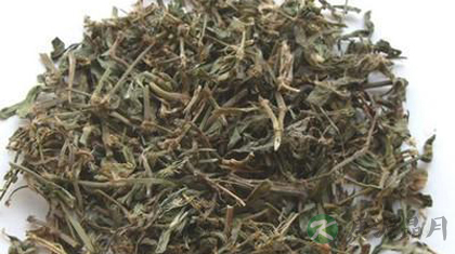 萹蓄的功效与作用_萹蓄的药用价值 萹蓄的功效与作用_萹蓄的药用价值