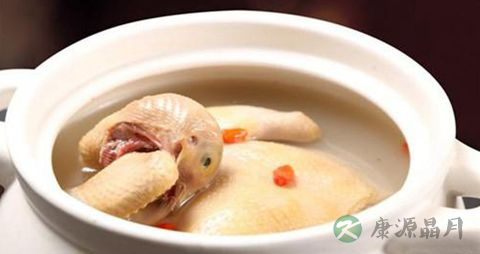 鸽子汤的功效 鸽子汤的功效