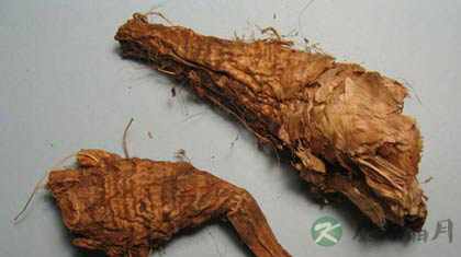 射干的功效与作用_射干的药用价值 射干的功效与作用_射干的药用价值