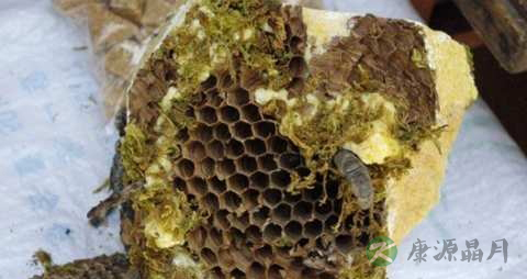 石蜜的药用价值_石蜜的副作用 石蜜的药用价值_石蜜的副作用