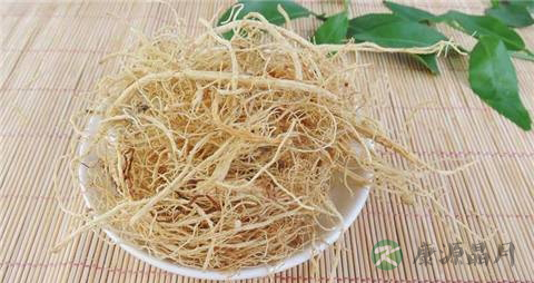 人参须的功效与作用 人参须的功效与作用