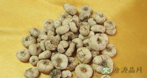 平贝母的药用价值_平贝母的副作用 平贝母的药用价值_平贝母的副作用