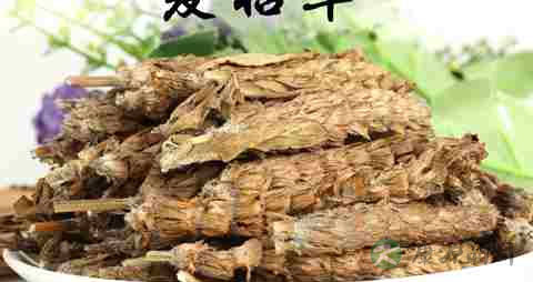 中药夏枯草的作用