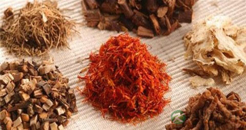 除湿热中草药有哪些 除湿热中草药有哪些