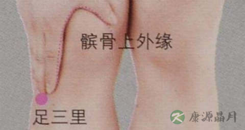 肝排毒艾灸哪里