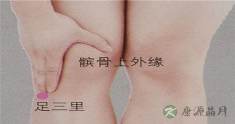 胃寒灸什么穴位