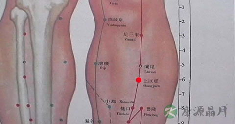 如何找足三里穴位