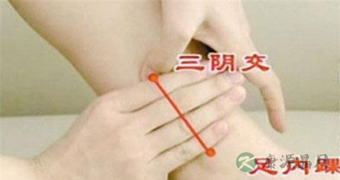 脾不好按什么穴位
