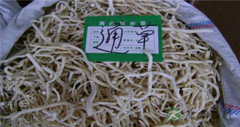 催奶中药有哪些 催奶中药有哪些
