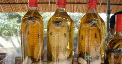 什么蛇泡药酒最好 什么蛇泡药酒最好