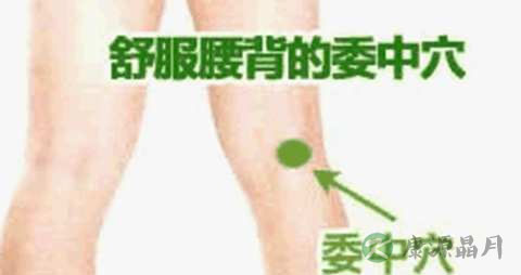 按摩养生知识 按摩养生知识