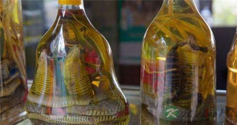 什么蛇泡药酒最好 什么蛇泡药酒最好