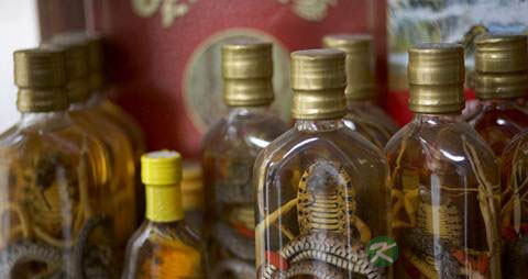 蛇泡药酒可以喝吗 蛇泡药酒可以喝吗