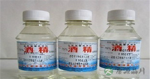 退烧偏方香菜茎白萝卜 退烧偏方香菜茎白萝卜