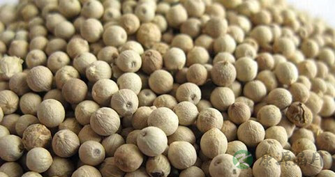 白胡椒治胃寒的偏方 白胡椒治胃寒的偏方
