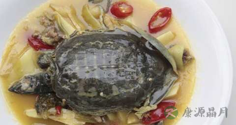 乙肝食疗偏方