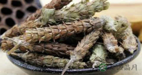 治疗感冒中药有哪些 治疗感冒中药有哪些