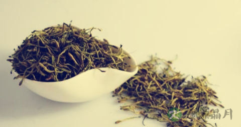 治痈疽疮毒的中药 治痈疽疮毒的中药