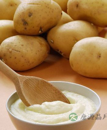 最适合人养生的食物 最适合人养生的食物