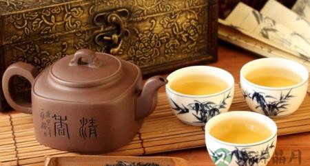 学会闻香识茶 学会闻香识茶