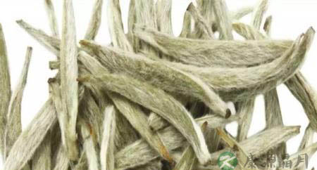 细说白茶6大保健功效