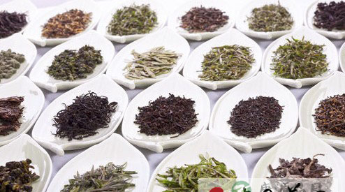 71种茶叶的的不同养生功效 71种茶叶的的不同养生功效