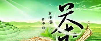 品茶的关键是品出健康 品茶的关键是品出健康