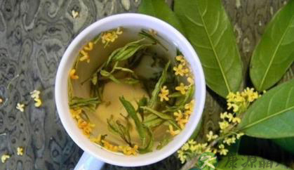 多喝桂花茶 美白排毒 多喝桂花茶 美白排毒