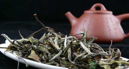 传闻中的茶界“女汉子” 传闻中的茶界“女汉子”