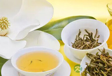 茉莉花茶,初春养生 茉莉花茶,初春养生