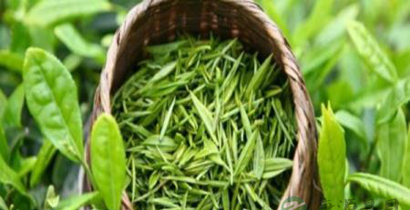 看完这些请不要再乱喝茶
