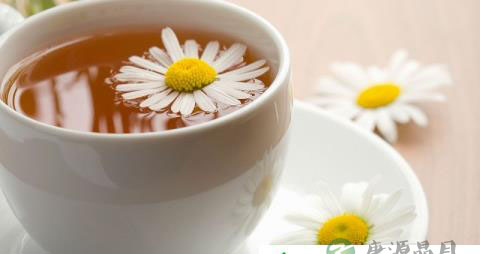 三伏天喝点菊花茶 三伏天喝点菊花茶