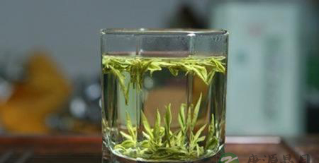 春茶的优点有哪些?如何辨认好春茶? 春茶的优点有哪些?如何辨认好春茶?