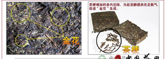 粗老叶里的营养 粗老叶里的营养