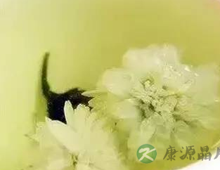 白菊花茶可防治风热感冒 白菊花茶可防治风热感冒