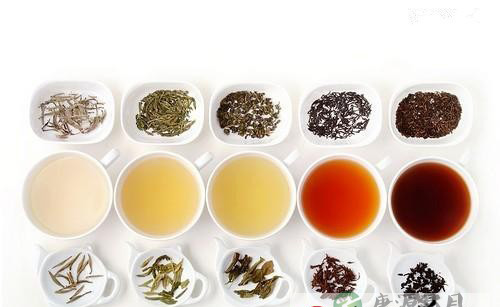 人生有千百种 茶亦有千百种 人生有千百种 茶亦有千百种