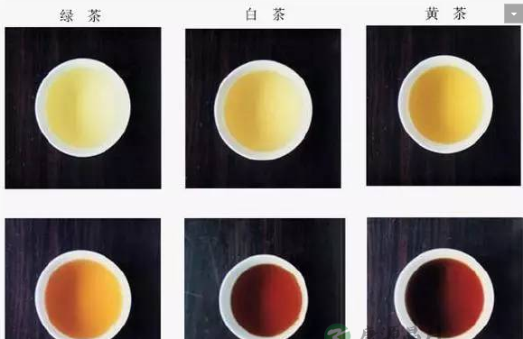 正确饮茶才对身体有诸多好处 正确饮茶才对身体有诸多好处
