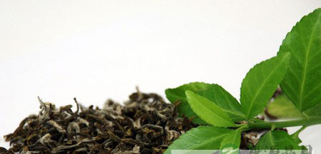 用什么茶叶来制作茶枕 用什么茶叶来制作茶枕