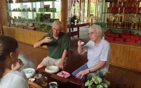 茶叶护牙及防止龋齿作用 茶叶护牙及防止龋齿作用