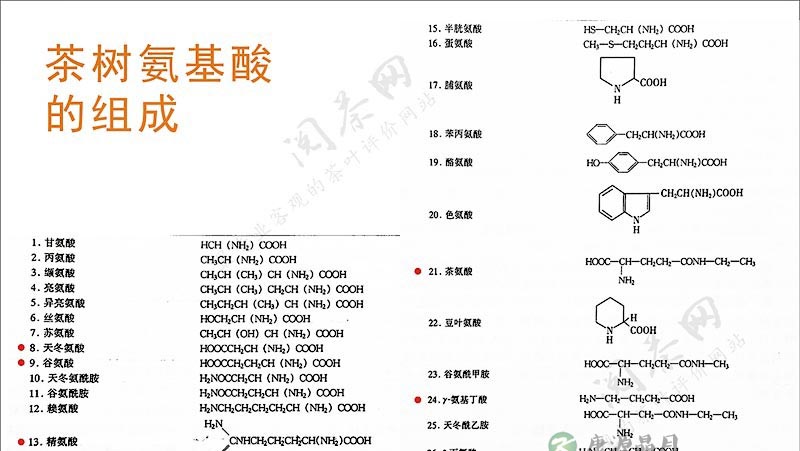 茶学小识:过则为灾的氨基酸 茶学小识:过则为灾的氨基酸