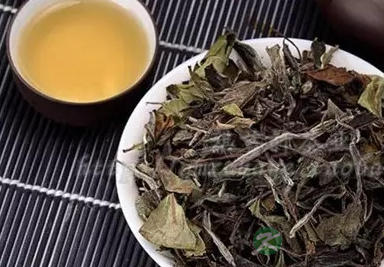老白茶的功效,是健康的养生秘诀! 老白茶的功效,是健康的养生秘诀!