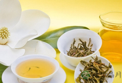 茶道养生 消食健胃茶14方 茶道养生 消食健胃茶14方