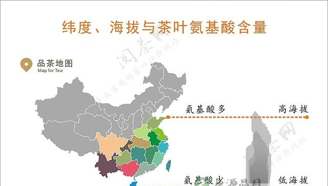 茶学小识:过则为灾的氨基酸 茶学小识:过则为灾的氨基酸