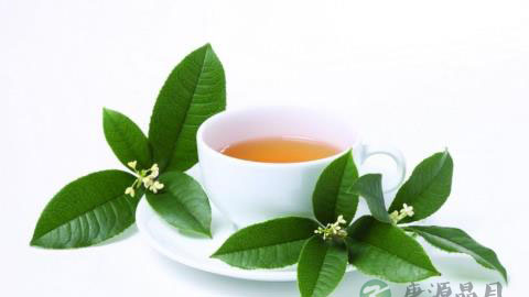 玉容茶补益美颜润泽肌肤功效 玉容茶补益美颜润泽肌肤功效