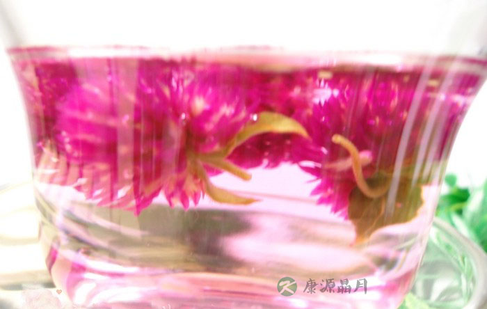 千日红花茶的作用 千日红花茶的作用