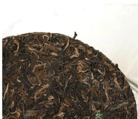 普洱熟茶养渥堆与微生物