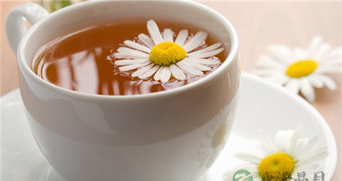 体虚人喝菊花茶加蜂蜜 教你夏天正确喝菊花茶